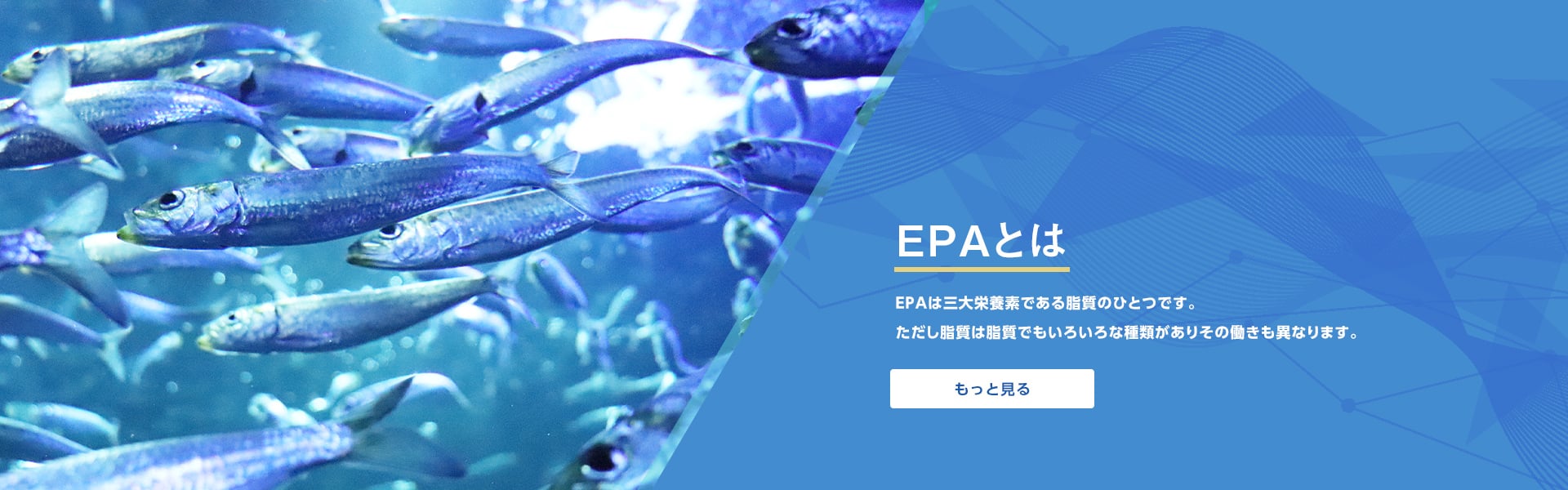 EPAとは もっと見る