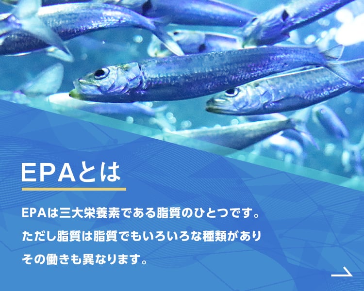 EPAとは もっと見る